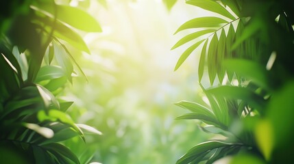 Tropical Jungle Background with Lush Green Leaves and Sunlight Filtering Through Canopy - Exotic Nature and Rainforest Atmosphere