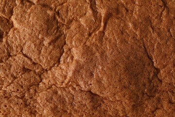 Tasty Japanese Castella sponge cake as background, top view