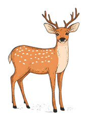 Obraz premium Detailed illustration featuring a standing deer with distinctive spotted coat