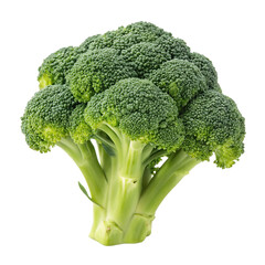Broccoli isolated on transparent background