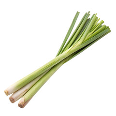 Lemongrass stalk isolated on transparent background