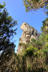view from the footpath in the Anaga mountains, Tenerife, Canary Islands, Spain