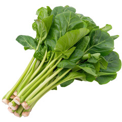Fresh Green Leafy Vegetable Bundle with Vibrant Leaves and Sturdy Stems on White Background for Healthy Eating Concepts