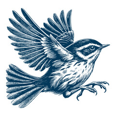 warbler bird vector