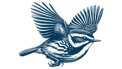 warbler bird vector