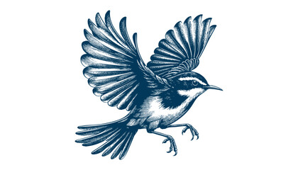 warbler bird vector
