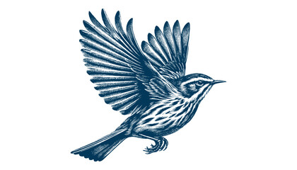 warbler bird vector