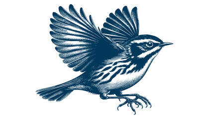 warbler bird vector