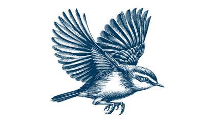warbler bird vector