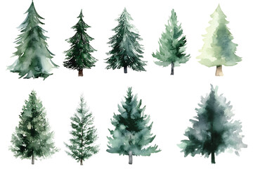 Obraz premium Watercolor Pine Trees on white Background, Nature-Inspired Holiday Design