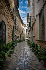 A narrow alleyway lined with potted plants in soller mallorca spain