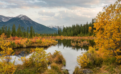 Early evening autumn colors at the Vermilion Lakes in Banff National Park - Canada