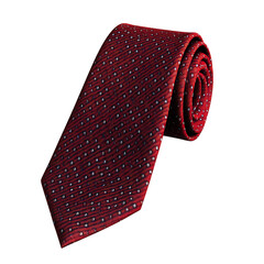 necktie cartoon isolated on white background full depth of field 