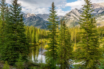 Bow River valley in the Banff National Park - Canada