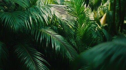 Lush Tropical Paradise: Immersive Green Foliage