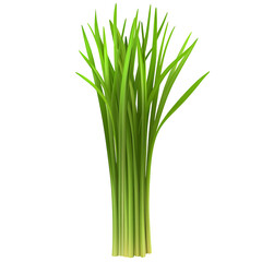 lemon grass cartoon isolated on white background full depth of field 