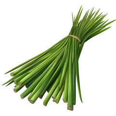 Fototapeta premium lemon grass cartoon isolated on white background full depth of field 