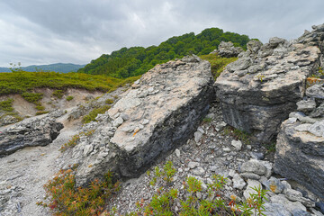 恐山