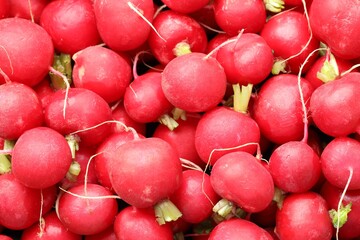 Many fresh radishes as background, top view