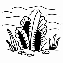 Obraz premium Monochrome seaweed illustration with ocean waves underwater plant life drawing in black and white line art