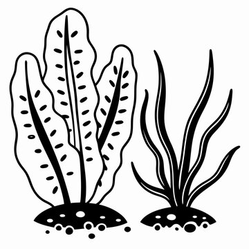 black and white seaweed plants clip art preview