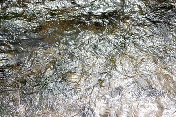 Water blurred and flowing quickly in a wild river.