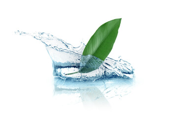 Fresh green leaf falling into splashing water against white background