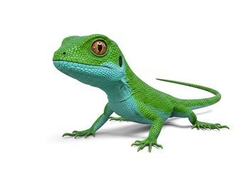 Fototapeta premium little dragon lizard isolated on white background.