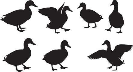 Fototapeta premium duck vector art illustration silhouette