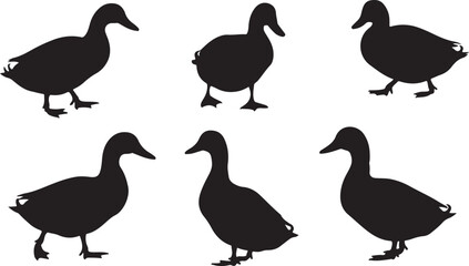 duck vector art illustration silhouette