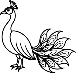 Fototapeta premium Majestic Peacock Line Art Elegant Bird Outline for Luxury Designs