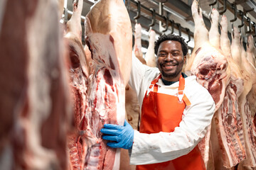 Portrait of experienced food factory worker preparing raw meat for processing.