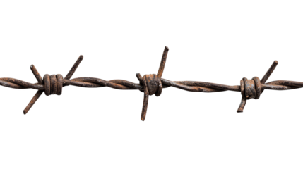 Rusty barbed wire close-up on transparent background