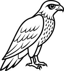 Obraz premium Sharp Hawk Line Art Predatory Bird Outline for Logos