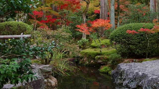 Autumn in Japan, Japanese shinto shrine in zen garden with Japanese maples, travel in autumn in Japan