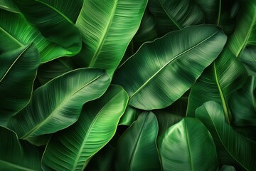 Fototapeta premium Lush Green Tropical Leaves Natural Background Texture