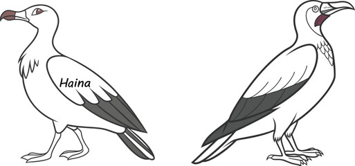 bird of prey