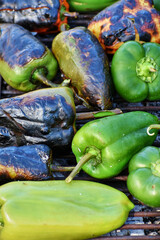 Fresh peppers from the garden roasted on the grill