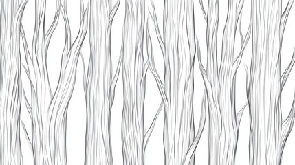 Abstract illustration of slender tree trunks with delicate lines against a white background
