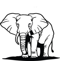 elephant