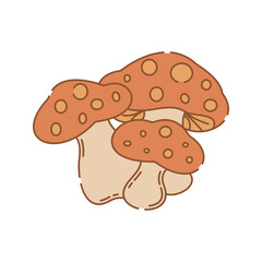 Mushroom Illustration