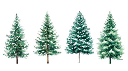 Obraz premium Set of four realistic christmas trees with snowy branches