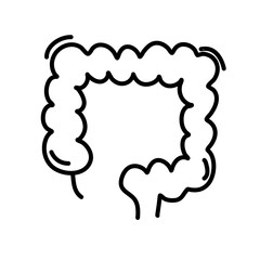 Internal organs line icons