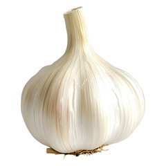 This image features a close-up, isolated view of a single bulb of raw garlic.