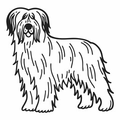 Fototapeta premium a cute outline drawing of a dog with a long, shaggy coat and a friendly expression. The illustration is clean and simple, perfect for various design applications