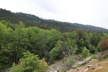 Blick auf die Berglandschaft der Franz&ouml;sichen Mittelmeerinsel Korsika	