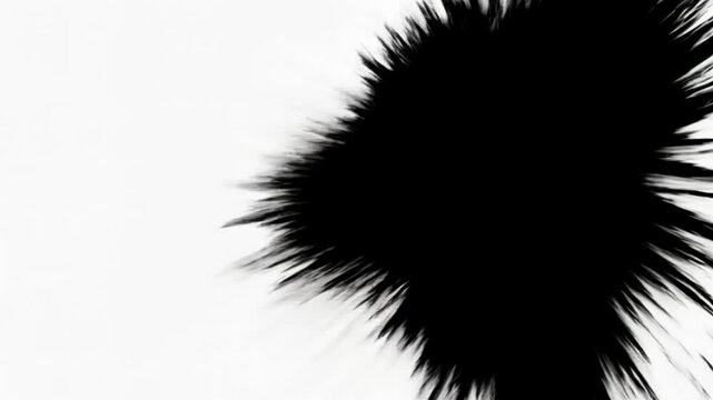 Capture Attention Instantly: Implement a Bold Black Brushstroke Animation for Seamless Transitions in Your Videos, Presentations, and Marketing Materials, Ensuring a Modern and Visually Stunning Impac