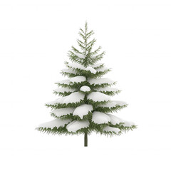 Fototapeta premium Snow-covered evergreen tree isolated on a white background.