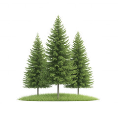 Fototapeta premium Three evergreen trees on a grassy patch, white isolate background.