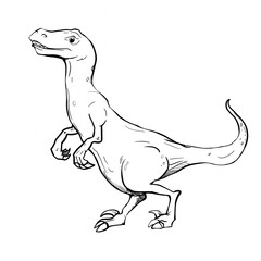 Dinosaur Hand drawing line art coloring book illustration, coloring page for kids and adults,  transparent background png